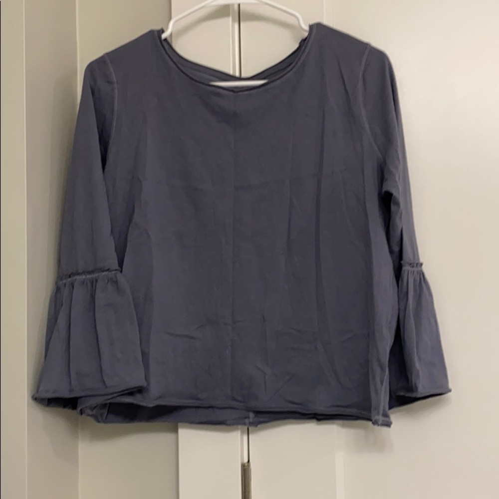 Blue Bell Sleeved Crop Top